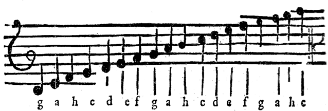 autodidactus001.tif